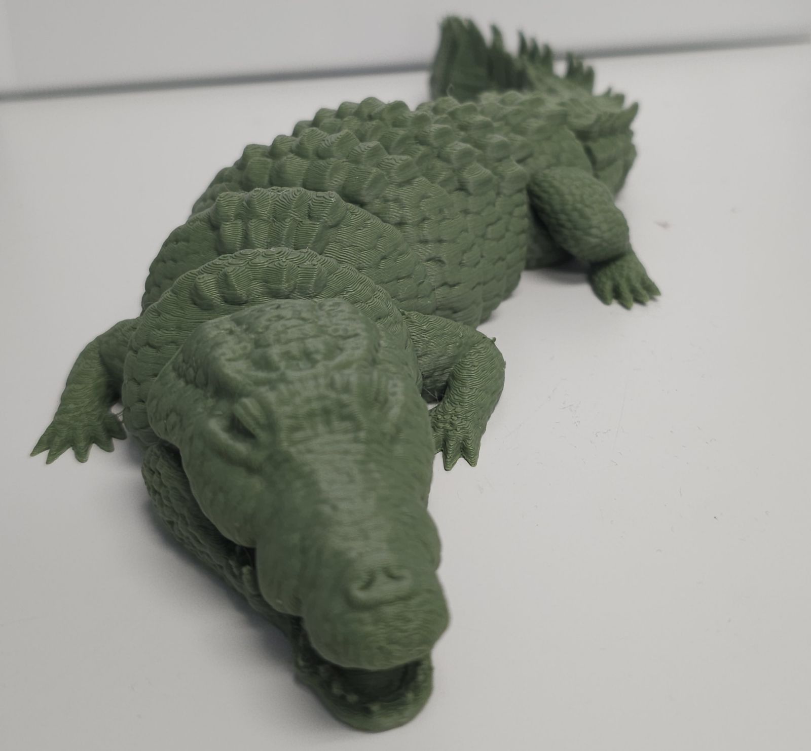 Crocodile